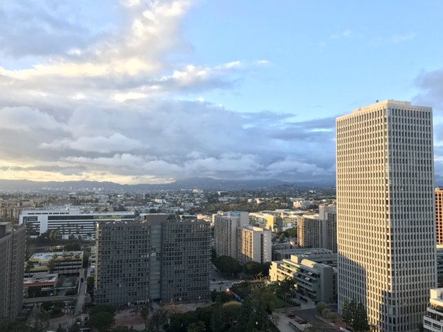 Sky-high View of the Metropolis