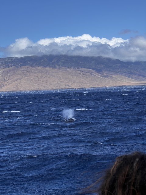 Majestic Whale Breaching in the Pacific Ocean
