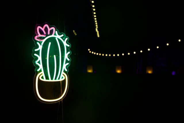 Neon Nights at the Garden