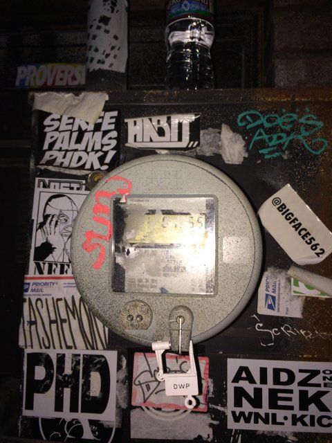 Graffiti-Clad Parking Meter