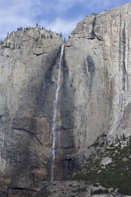 Majestic Yosemite Cliffside Encounter