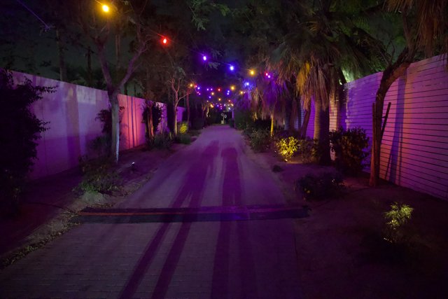 Midnight Hues: A Vibrant Pathway