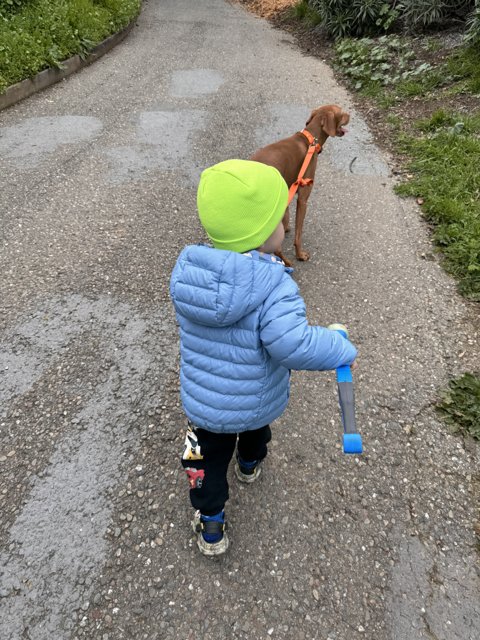 Wesley's Afternoon Stroll with His Furry Pal