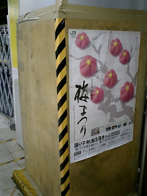Pink Flower Poster in Shibuya