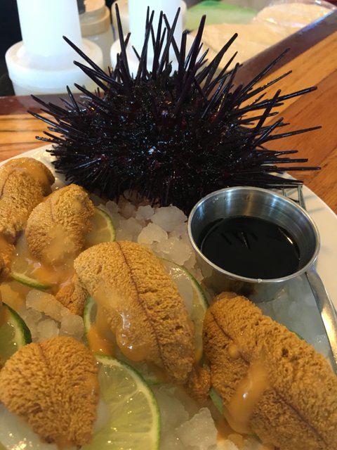 Sea Urchin Delight