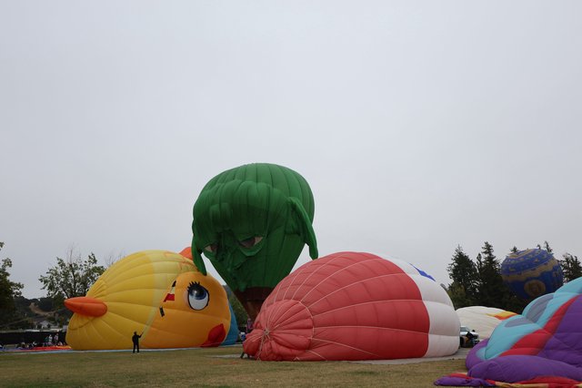 Colorful Hot Air Balloons Inflate at Sonoma Classic