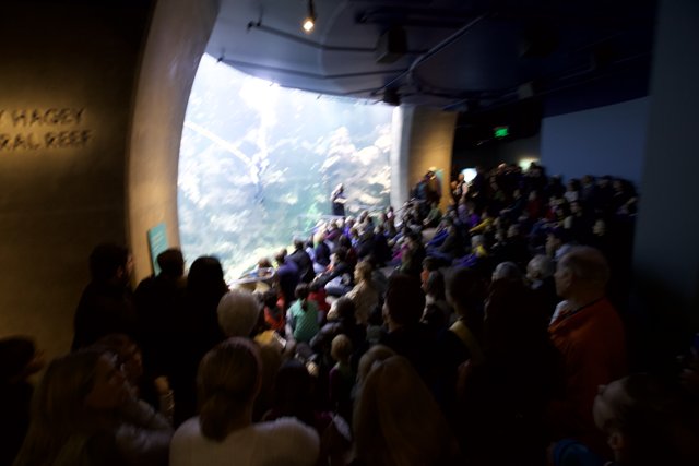 Aquarium Exhibit Draws a Big Crowd