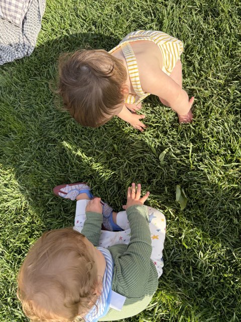 Little Discoveries in the Grass