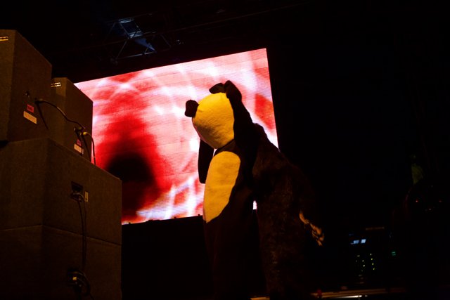 Bear-ly Visible on the Big Screen