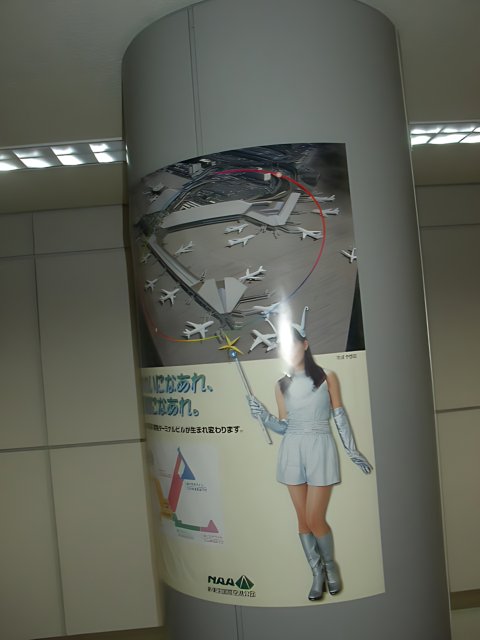 Silver Dress Poster