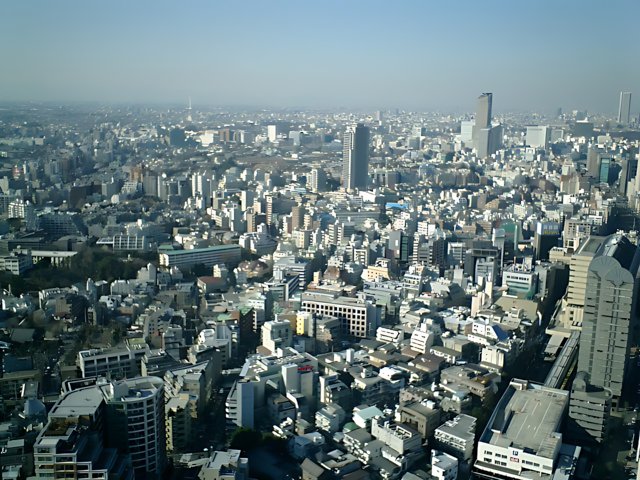 Tokyo Metropolis from the Sky