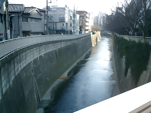 Urban River