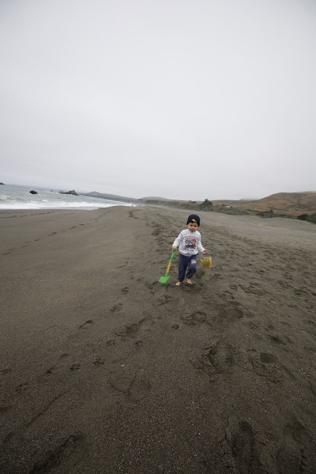 Young Explorer Strolling Along a Foggy Beach