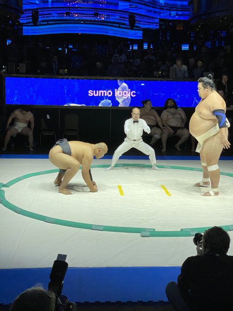 Sumo wrestlers battle it out at World Tournament