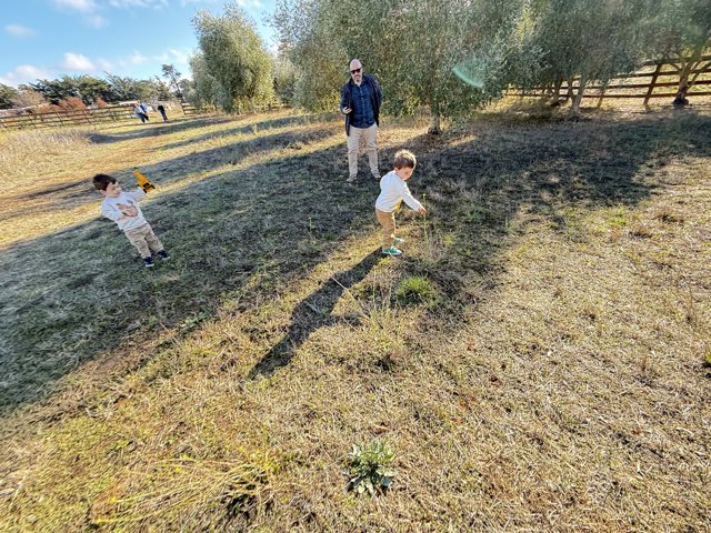 Joyful Moments in the Meadow