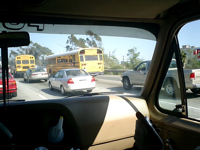 Two School Buses in Coachella Camping Area