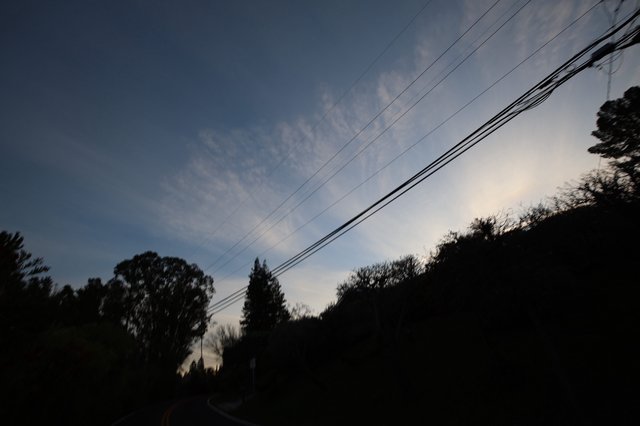 Silhouetted Trees and Power Lines at Twilight