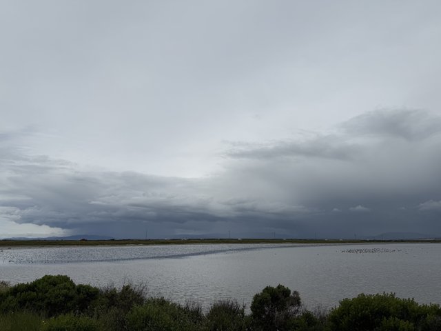 A Tranquil Overcast at San Pablo Bay