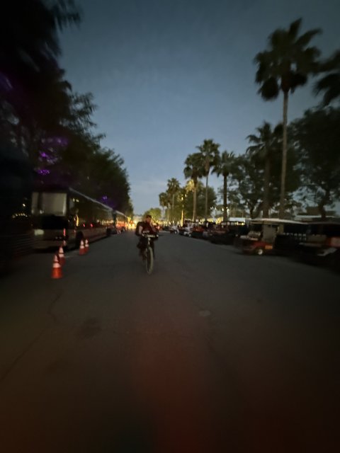 Evening Ride Through the Urban Oasis