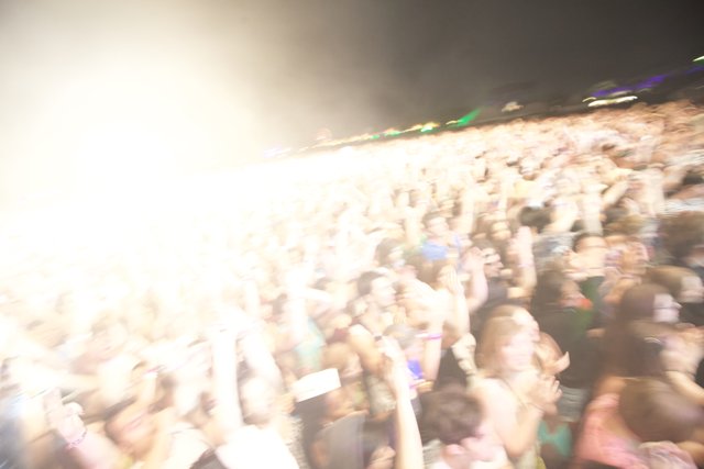 The Electric Crowd at Cochella