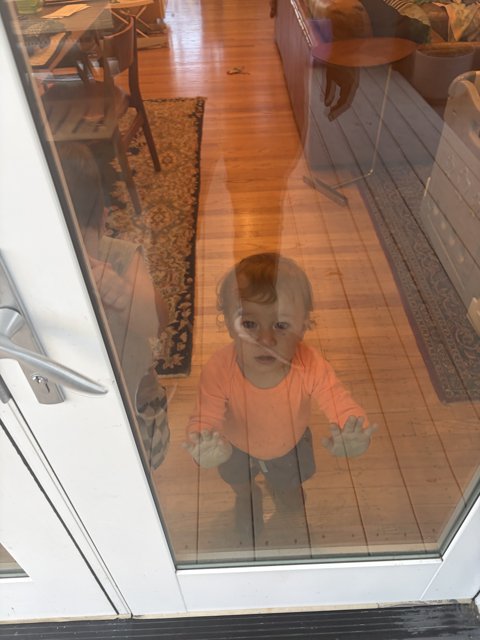 Curious Reflections