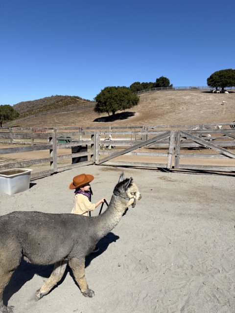 Little Wrangler in Carmel Valley