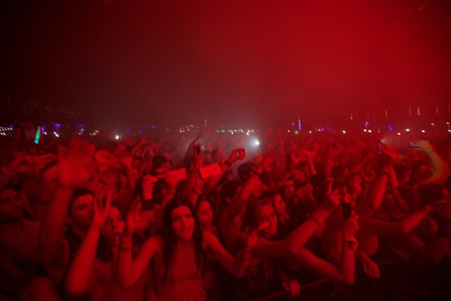 Red Hot Concert Crowd