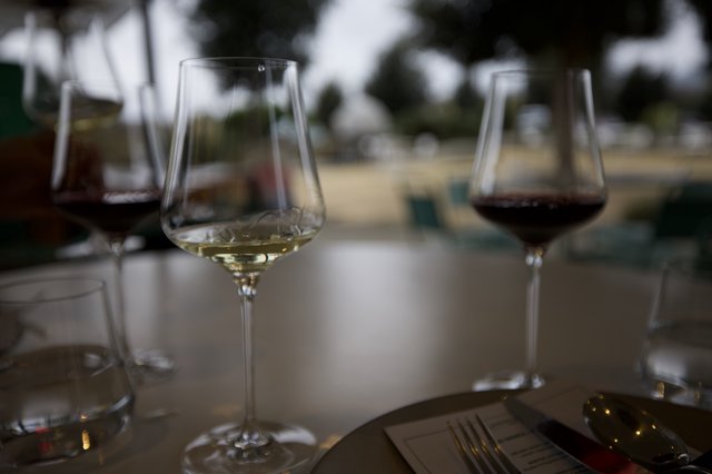 Elegant Wine Tasting with White and Red Varietals