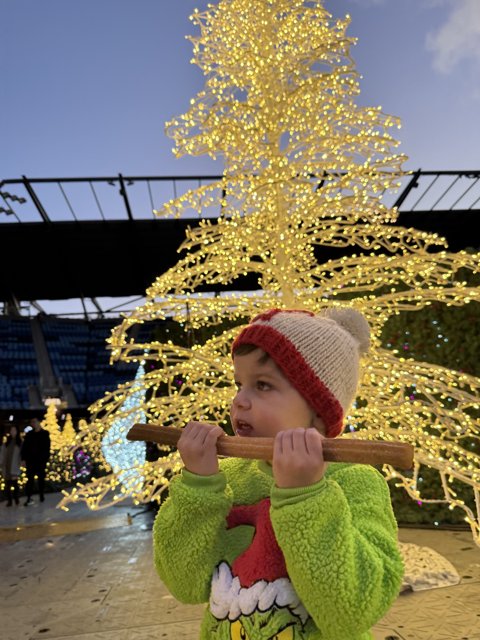 Winter Wonder at PayPal Park