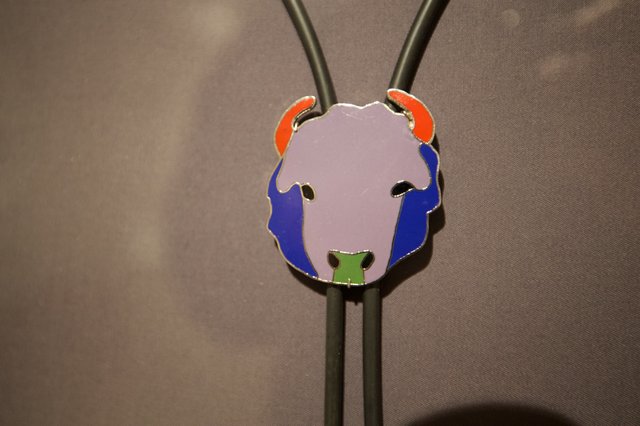 Colorful Enamel Pendant with Metal Bolo Tie Cord