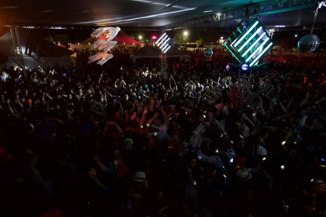 Crowd Goes Wild at Coachella Concert