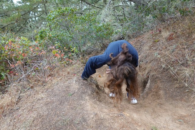 Person Wrestling with Large Shaggy Dog Outdoors