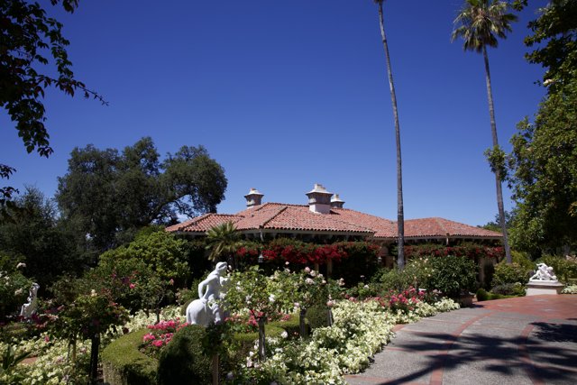 Serene Summer at the Hearst Castle Gardens