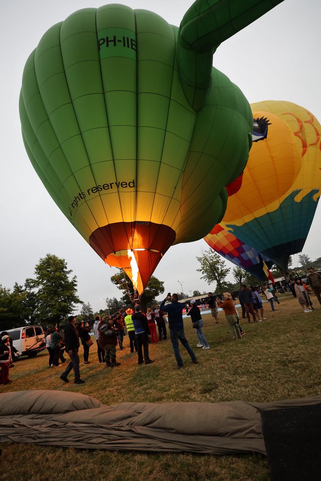 Green Cactus Balloon Ignites at Sonoma Balloon Classic