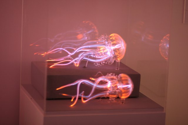 Glowing Jellyfish Take Over Museum of Modern Art