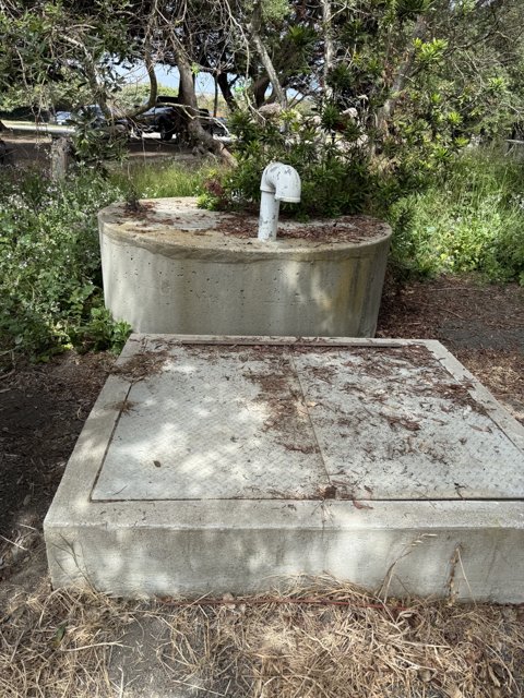 Resting Place Amidst Nature