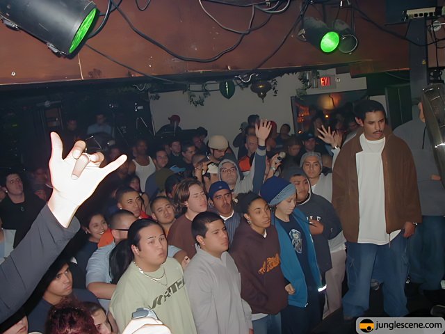 Nightclub Concert Crowd with Raised Hands