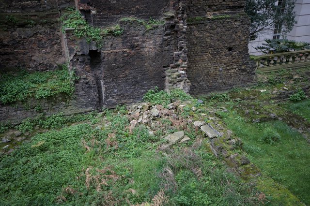 Ancient Stone Wall Ruins Reclaimed by Nature