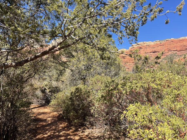 Red Rock Trail in Sedona, Arizona