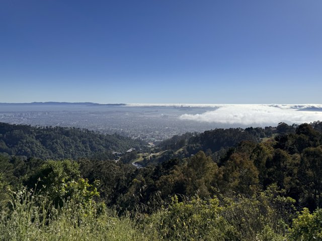 Majestic Berkeley Vista with City and Clouds