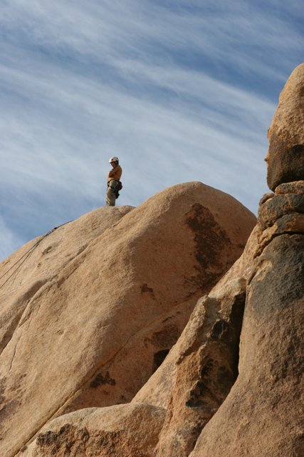 Standing Strong on the Desert Cliff
