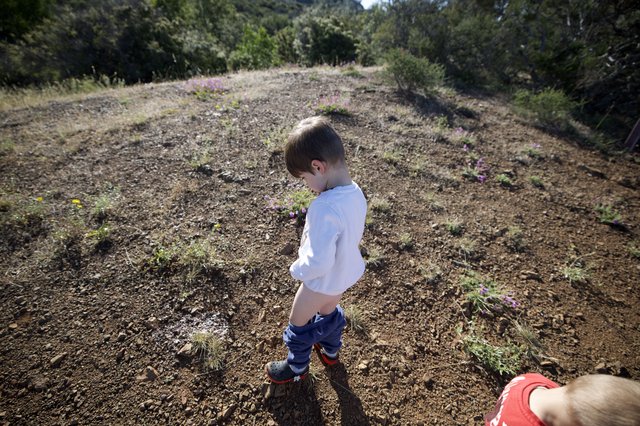 Young Explorer Pauses on Rocky Trail at Mt. Diablo