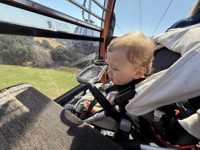 Ride Above the Wild