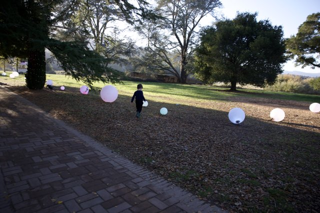 Wandering Amongst Spheres