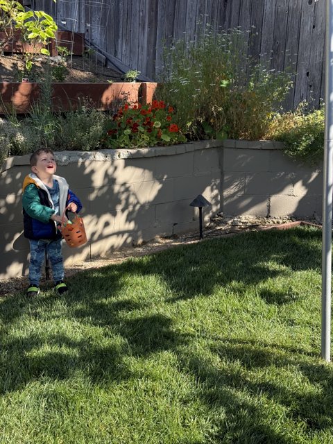 Backyard Adventures