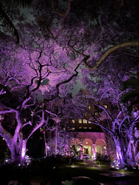 Enchanted Twilight at The Royal Hawaiian