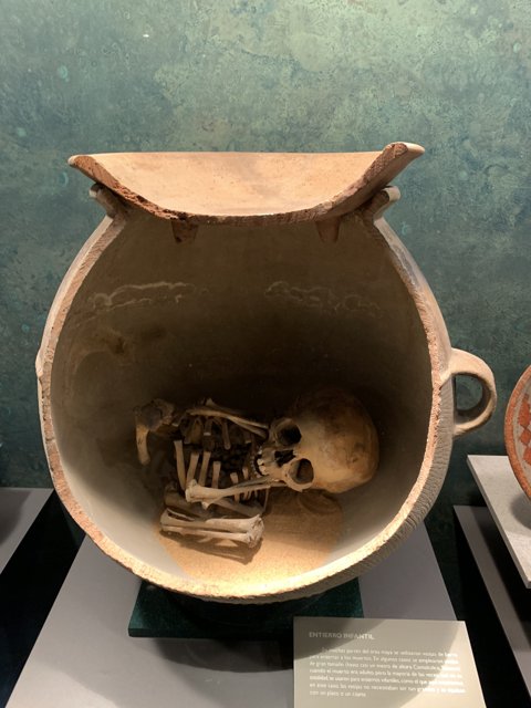Skull Pottery