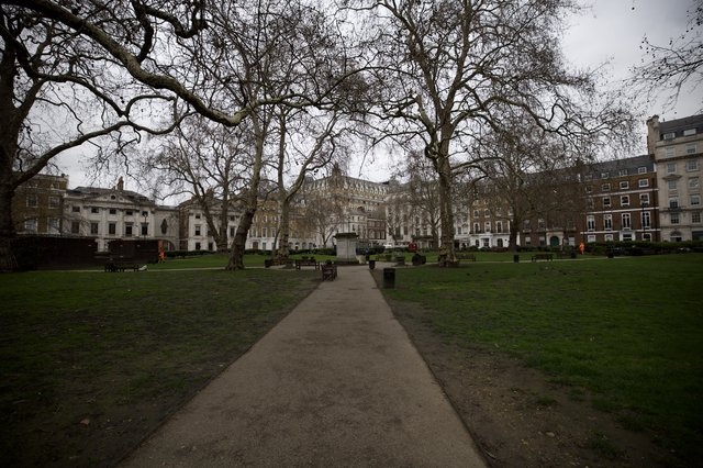 Bare Trees Frame Georgian Square on Grey London Day