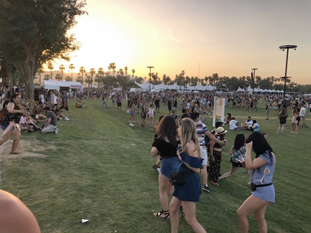 Sunset Gathering in the Grass