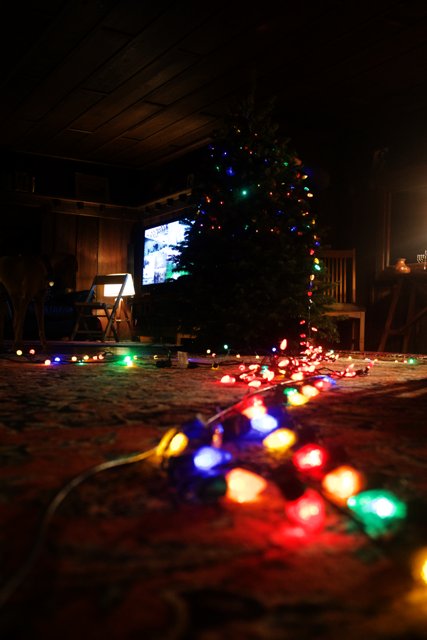 Festive Christmas Tree Lighting